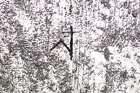 01405-06